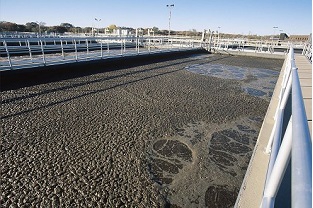 【干貨】泥齡導致的氨氮超標？那這種情況該如何處理呢？